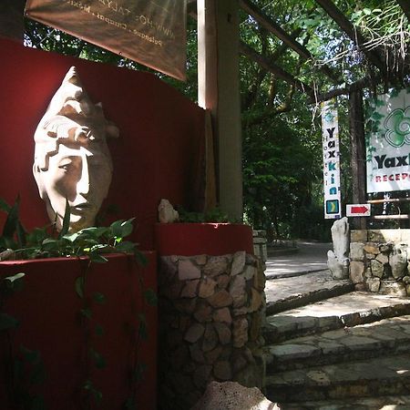 Yaxkin Hostel-Palenque Eksteriør bilde