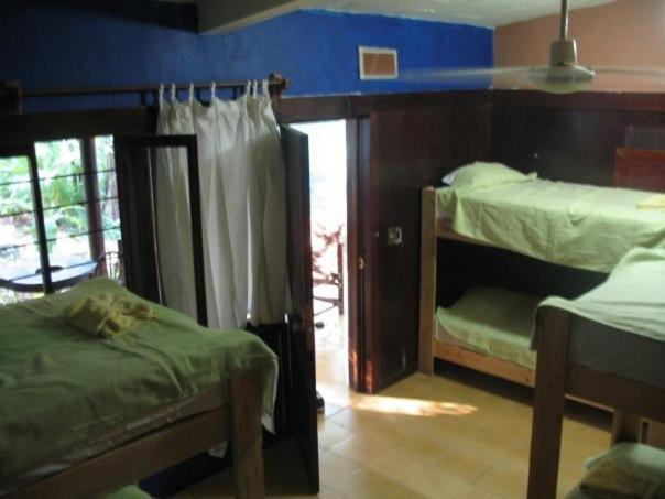 Yaxkin Hostel-Palenque Rom bilde
